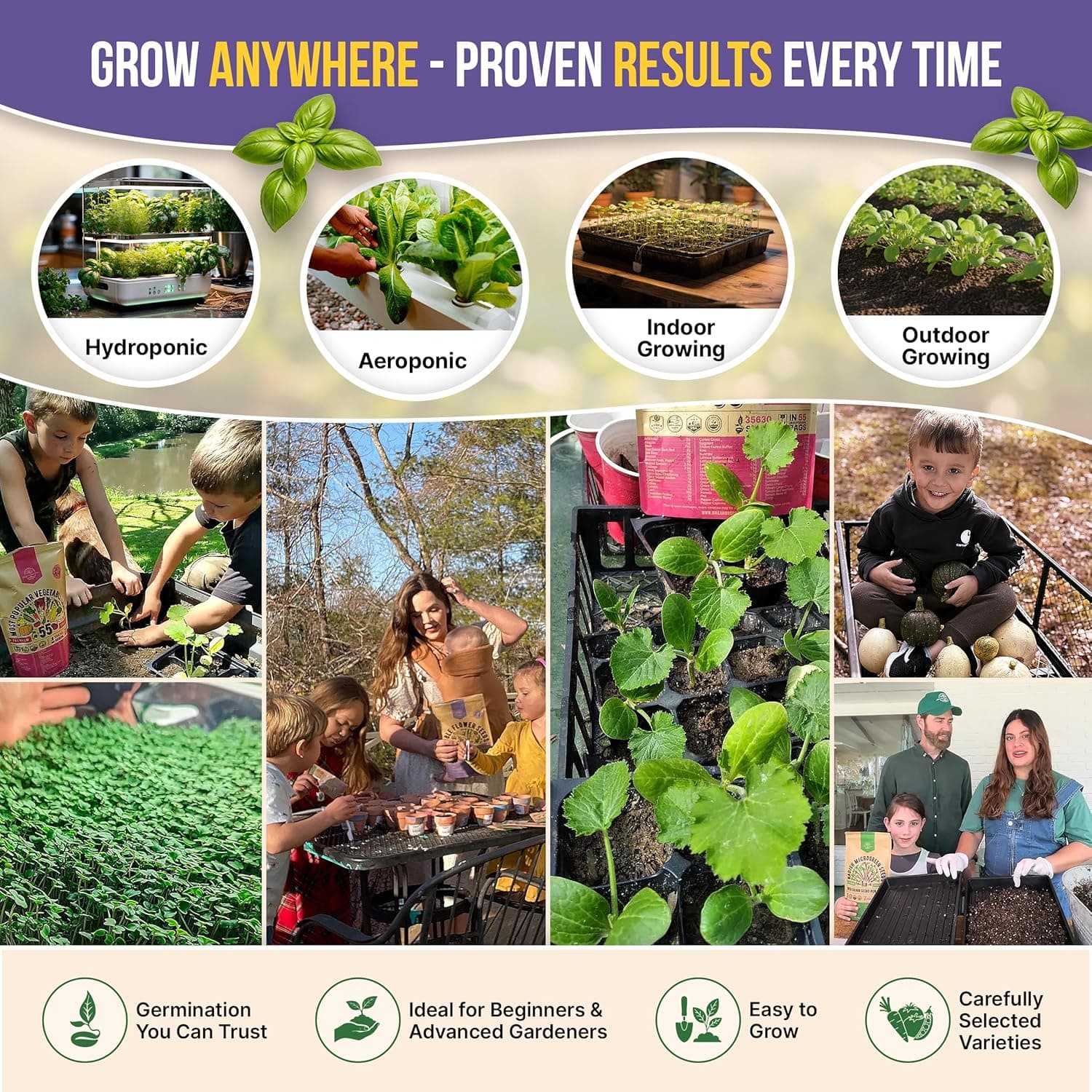 35 Medicinal & Tea Herb Seeds Variety Pack thumbnail 5